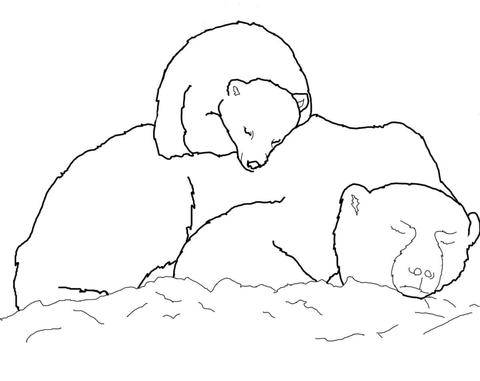 Polar Bear Cub Sleeping On Mother'S Back Coloring Page